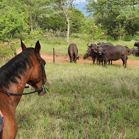 הוילה הודספרויט Wild Ride Safaris And Bush Camp מראה חיצוני תמונה