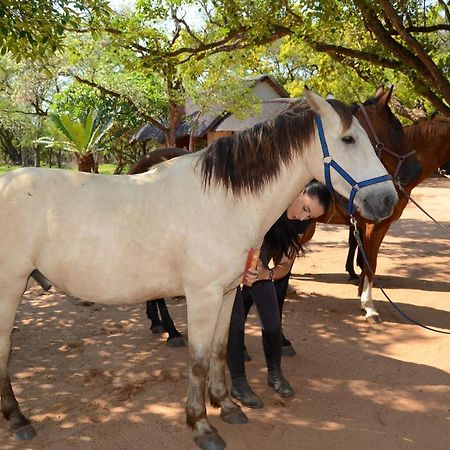 הוילה הודספרויט Wild Ride Safaris And Bush Camp מראה חיצוני תמונה
