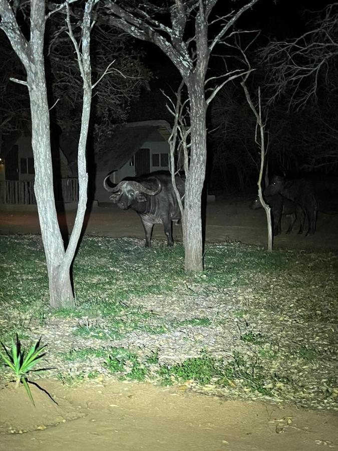 הוילה הודספרויט Wild Ride Safaris And Bush Camp מראה חיצוני תמונה