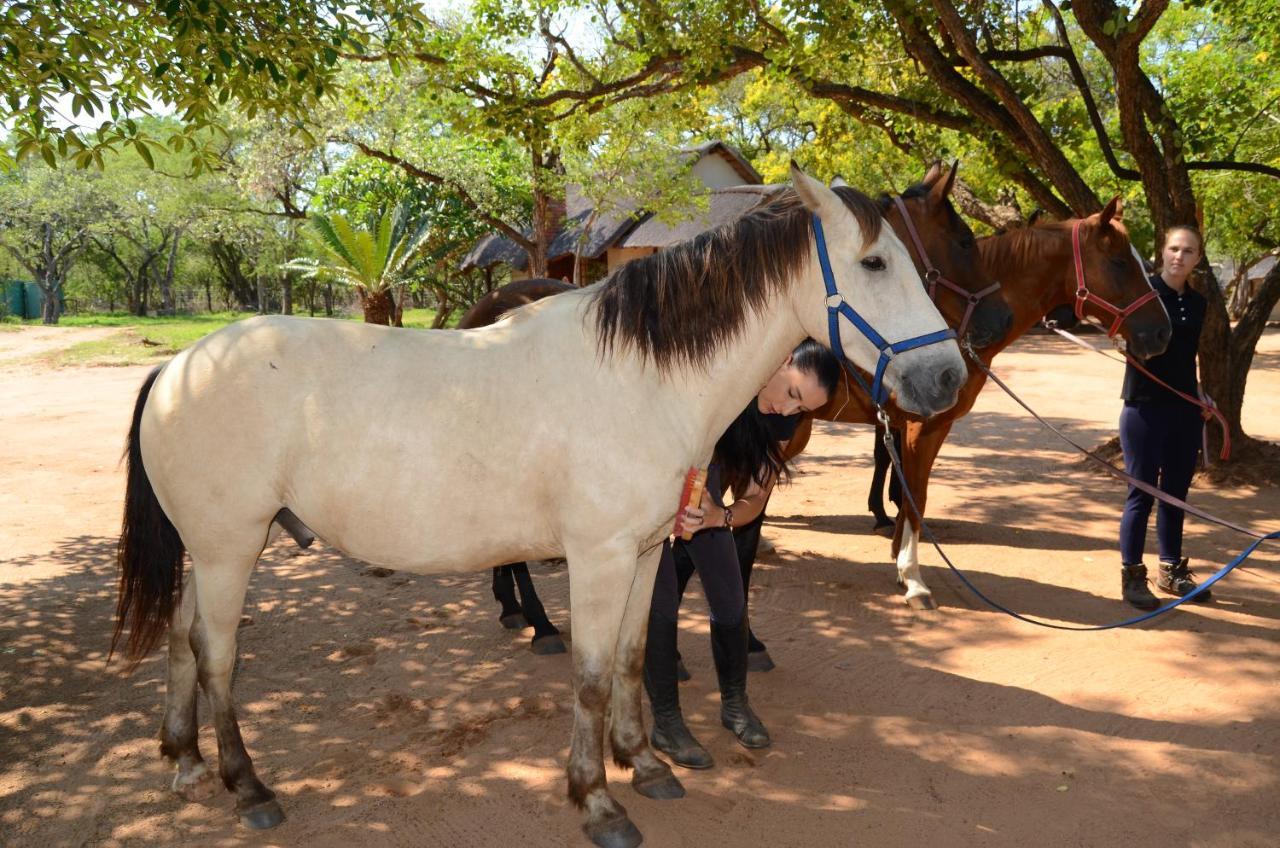 הוילה הודספרויט Wild Ride Safaris And Bush Camp מראה חיצוני תמונה